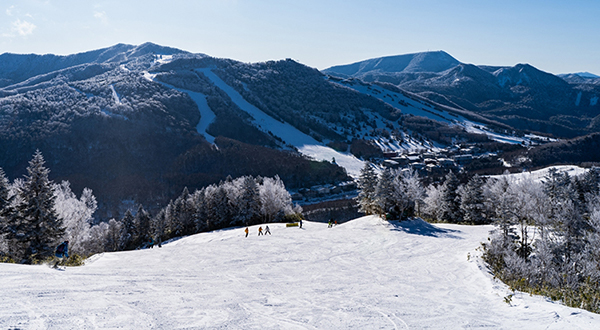 Shiga Kogen